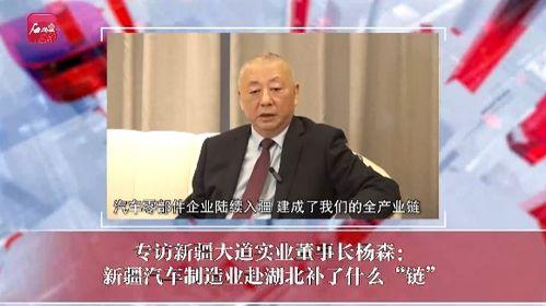 新疆最新新闻爆料视频,揭秘神秘事件背后的真相 第3张 新疆最新新闻爆料视频,揭秘神秘事件背后的真相 第3张