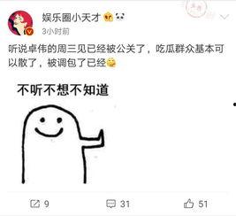 卓伟爆料打码视频,神秘打码视频引发热议，真相究竟如何？  第3张